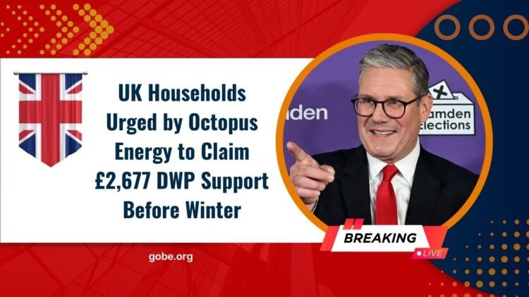 UK Households Urged by Octopus Energy to Claim £2,677 DWP Support Before Winter